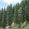 Outlet Busch 6132 HO 2-13/16" Spruce Trees (Pack of 2) - Your Source for Gaming Essentials Trains