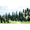 Clearance Busch 6497 HO Scale Pine Tree Assortment 60-110 mm. (Pack of 50) - Your Source for Gaming Essentials Trains