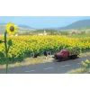 Busch 6003 HO Sunflower Field Kit (Pack of 60) - Your Source for Gaming Essentials Trains