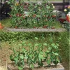 Sale Busch 1214 HO Tomato & Cucumber Plants Kit - Your Source for Gaming Essentials Trains