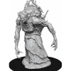 Tabletop Miniatures-D&D Nolzur's Marvelous Unpainted Miniatures (W15) Annis Hag - Your Source for Gaming Essentials