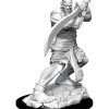 Tabletop Miniatures-D&D Nolzur's Marvelous Unpainted Miniatures (W13) Efreeti - Your Source for Gaming Essentials