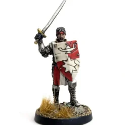 DGS Games High Questor of Tahnar #103005 Unpainted 32mm Scale Metal Figure - Your Source for Gaming Essentials Sale