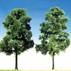 Discount Faller 181364 HO Top Series Beech Tree (Pack of 2) - Your Source for Gaming Essentials Trains