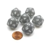 Dice-Frosted 20 Sided D20 Chessex Dice, 6 Pieces - Smoke with White Numbers - Your Source for Gaming Essentials