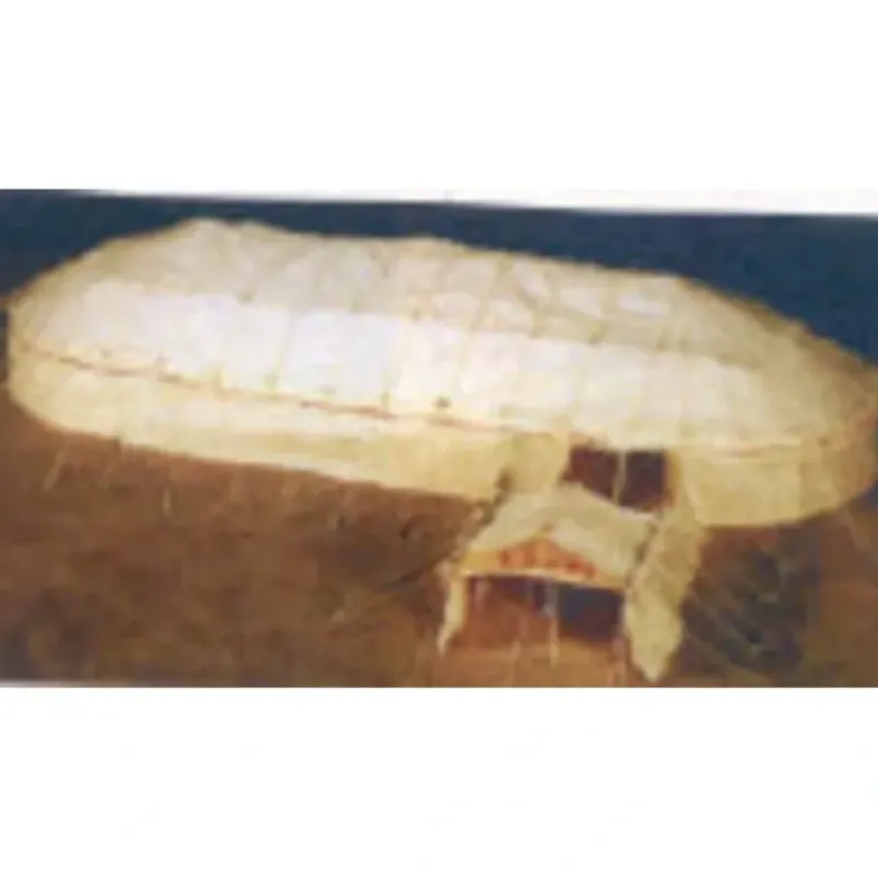 Hot Gem City Amusement 8901 HO Circus Tent Set - Your Source for Gaming Essentials Trains