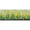 Sale JTT Scenery Products 95543 HO 1/2'' Daisies (Pack of 24) - Your Source for Gaming Essentials Trains
