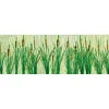 Online JTT Scenery Products 95535 HO 3/4" Cattails (Pack of 24) - Your Source for Gaming Essentials Trains