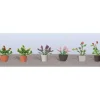 JTT Scenery Products 95565 HO 5/8" Assorted Potted Flower Plants #1 (Pack of 6) - Your Source for Gaming Essentials Trains