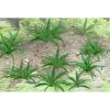 Online JTT Scenery Products 95534 O 1" Ferns (Pack of 9) - Your Source for Gaming Essentials Trains