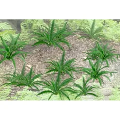 Online JTT Scenery Products 95534 O 1" Ferns (Pack of 9) - Your Source for Gaming Essentials Trains