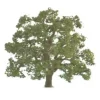 Discount JTT Scenery Products 96043 O 5" Live Oak Tree - Your Source for Gaming Essentials Trains