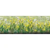 Online JTT Scenery Products 95544 O 7/8'' Daisies (Pack of 24) - Your Source for Gaming Essentials Trains
