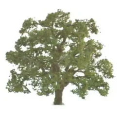 New JTT Scenery Products 94349 Z 2" Live Oak Tree (Set of 3) - Your Source for Gaming Essentials Trains