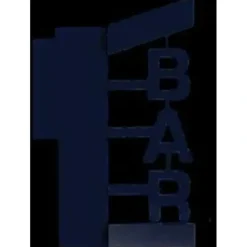 Miller Engineering 54822-R N/HO O'Malley's Medium Right Bar Sign - Your Source for Gaming Essentials* New