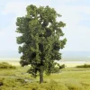Noch 21790 19cm Tall Ash Tree - Your Source for Gaming Essentials* Online