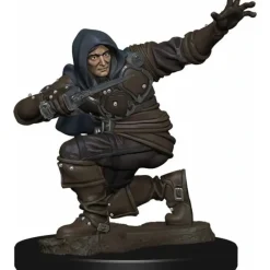Tabletop Miniatures>Pathfinder Battles: Premium Painted Figure - (W1) Human Rogue Male - Your Source for Gaming Essentials