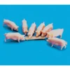 Peco 5108 HO Pigs & Trough Figures (Set of 8) - Your Source for Gaming Essentials* Outlet