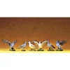 Preiser 47084 G Animals Pigeons Figures (Set of 6) - Your Source for Gaming Essentials* Outlet