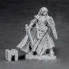 Tabletop Miniatures>Reaper Miniatures Alandin, Elf Paladin 03863 Dark Heaven Legends Unpainted Metal - Your Source for Gaming Essentials