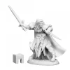 Tabletop Miniatures>Reaper Miniatures Anduriel Elf Paladin 03957 Dark Heaven Legends Unpainted Metal - Your Source for Gaming Essentials