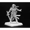 Tabletop Miniatures>Reaper Miniatures Arael, Half Elf Cleric #60005 Pathfinder Miniatures Unpainted - Your Source for Gaming Essentials