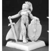 Tabletop Miniatures>Reaper Miniatures Gray Maiden #60025 Pathfinder Miniatures Unpainted D&D Mini - Your Source for Gaming Essentials