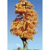 Timberline Scenery 218 Deciduous 6-9 Harvest Dawn - Your Source for Gaming Essentials* Hot