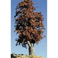 Timberline Scenery 209 Deciduous 6-9" Late Autumn - Your Source for Gaming Essentials* Sale